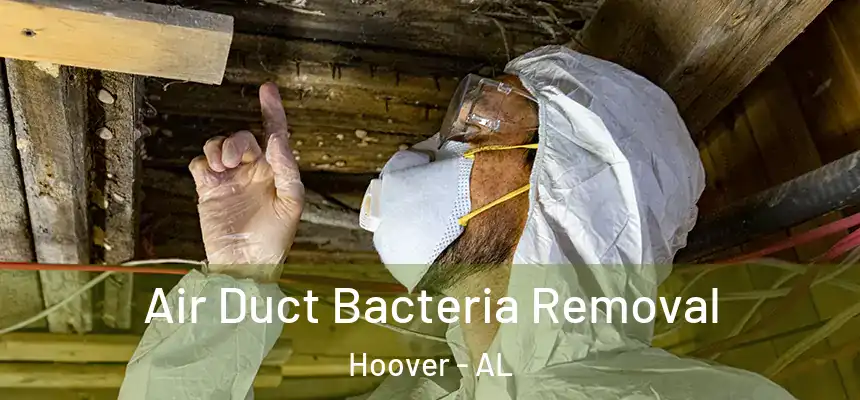 Air Duct Bacteria Removal Hoover - AL