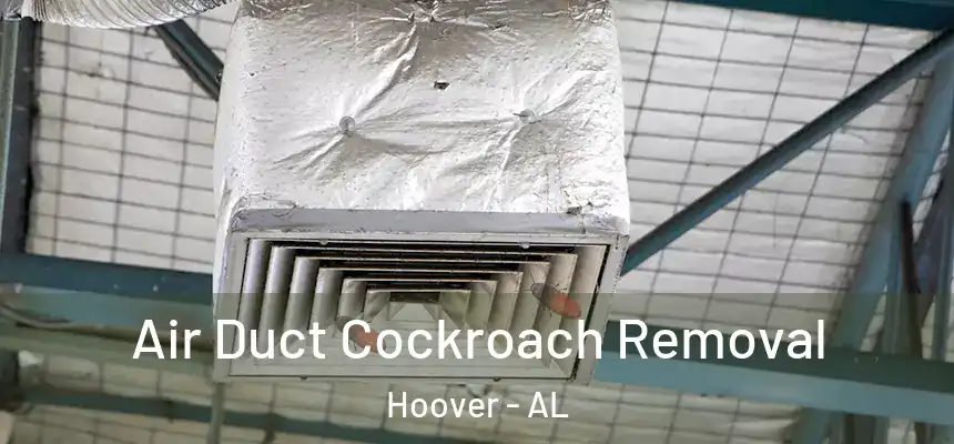 Air Duct Cockroach Removal Hoover - AL