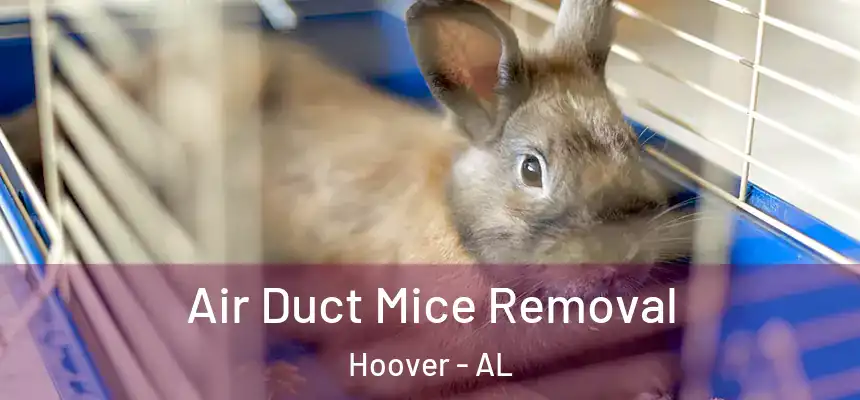 Air Duct Mice Removal Hoover - AL