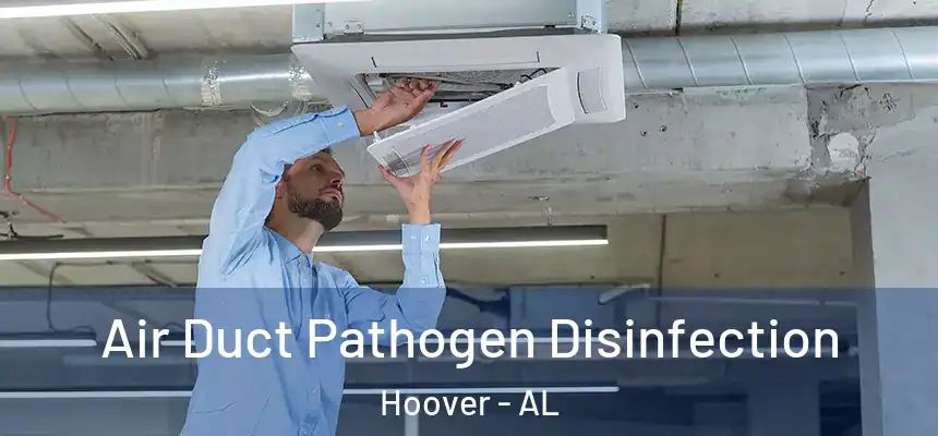  Air Duct Pathogen Disinfection Hoover - AL