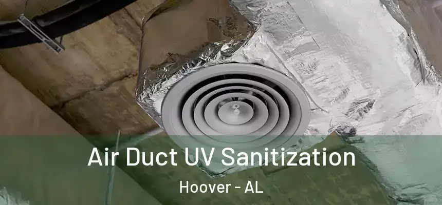  Air Duct UV Sanitization Hoover - AL