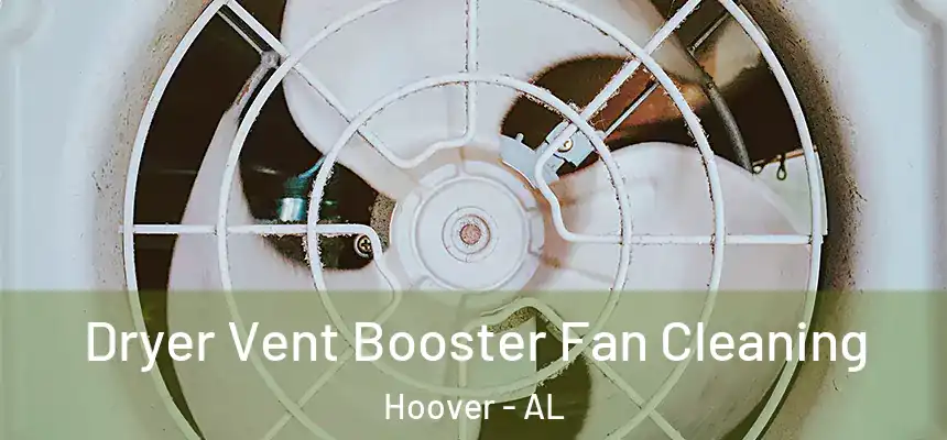 Dryer Vent Booster Fan Cleaning Hoover - AL