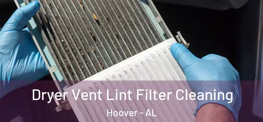 Dryer Vent Lint Filter Cleaning Hoover - AL