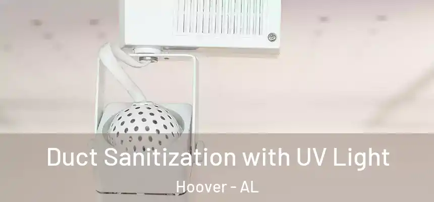 Duct Sanitization with UV Light Hoover - AL