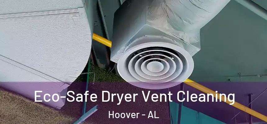 Eco-Safe Dryer Vent Cleaning Hoover - AL