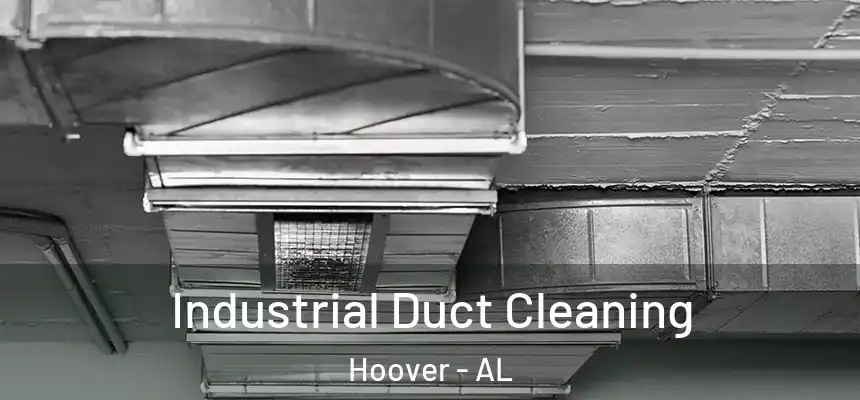  Industrial Duct Cleaning Hoover - AL