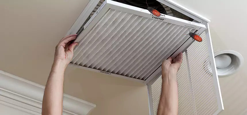 Preventive Cockroach-Proofing for Ducts in Hoover