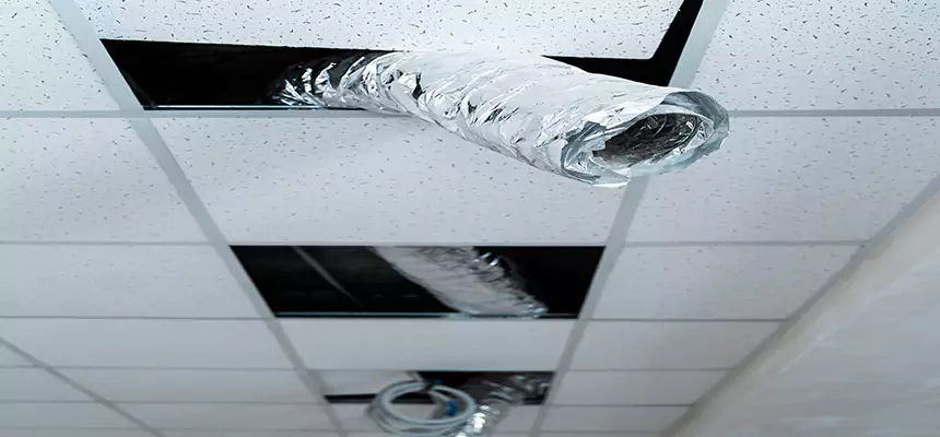 Affordable HVAC Sanitizing After Pest Removal in Hoover