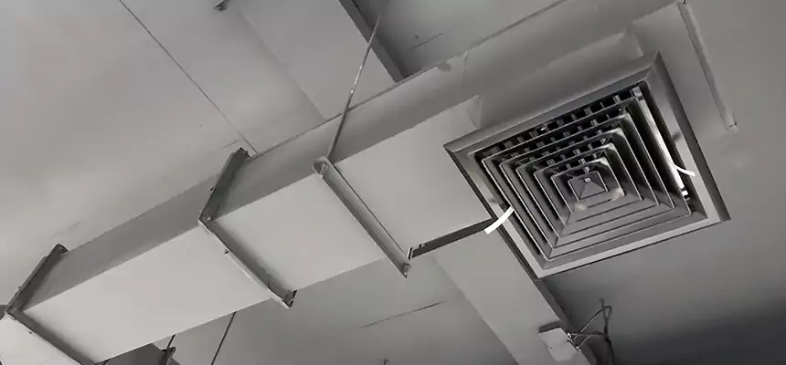 Our Rodent Droppings In Vents Services in Hoover, AL