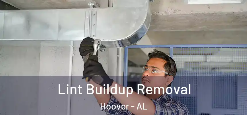 Lint Buildup Removal Hoover - AL