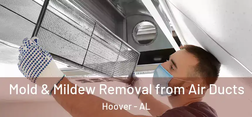 Mold & Mildew Removal from Air Ducts Hoover - AL