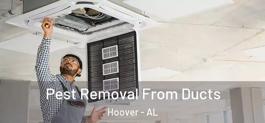 Pest Removal From Ducts Hoover - AL