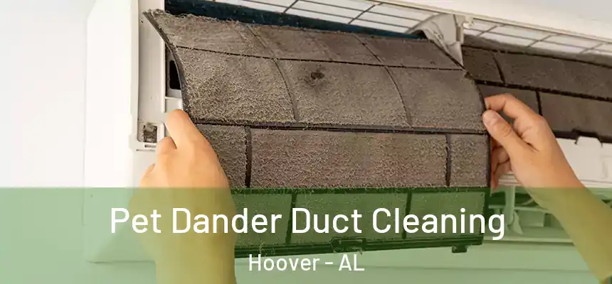 Pet Dander Duct Cleaning Hoover - AL