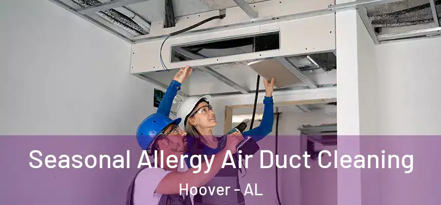 Seasonal Allergy Air Duct Cleaning Hoover - AL