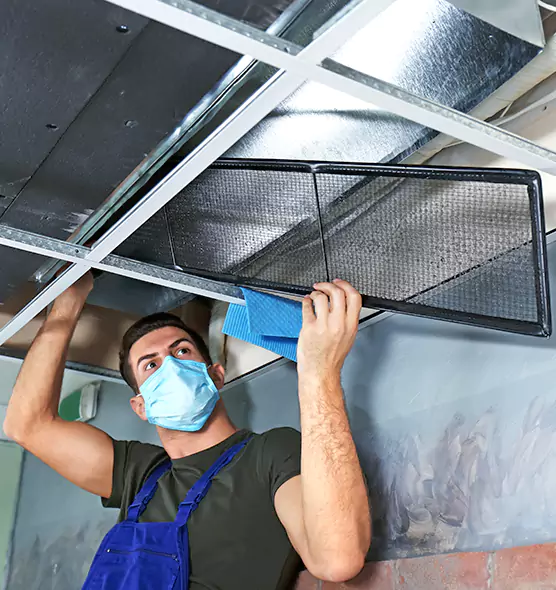 About Air Duct Bacteria Removal in Hoover
