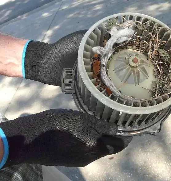 About Air Duct Mice Removal in Hoover, AL