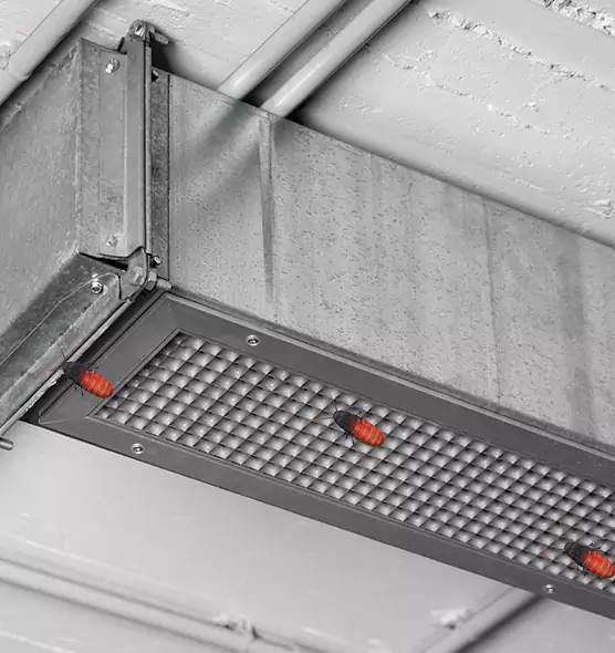 Affordable Insect Removal from Air Ducts in Hoover, AL
