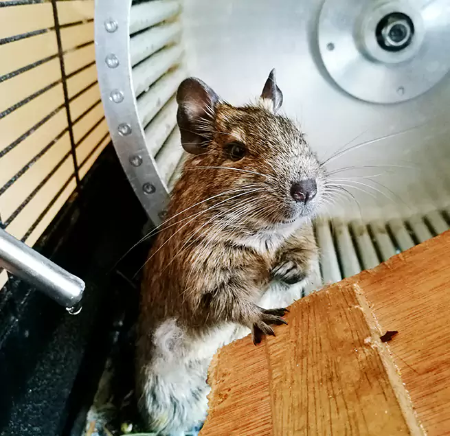 Why Homeowners & Businesses Trust Us Hoover, AL