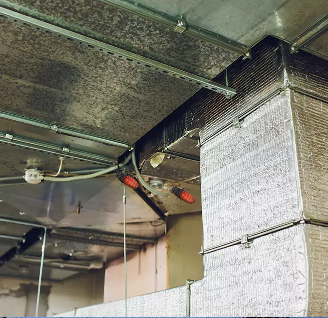 Why Homeowners & Businesses Trust Us Hoover, AL?