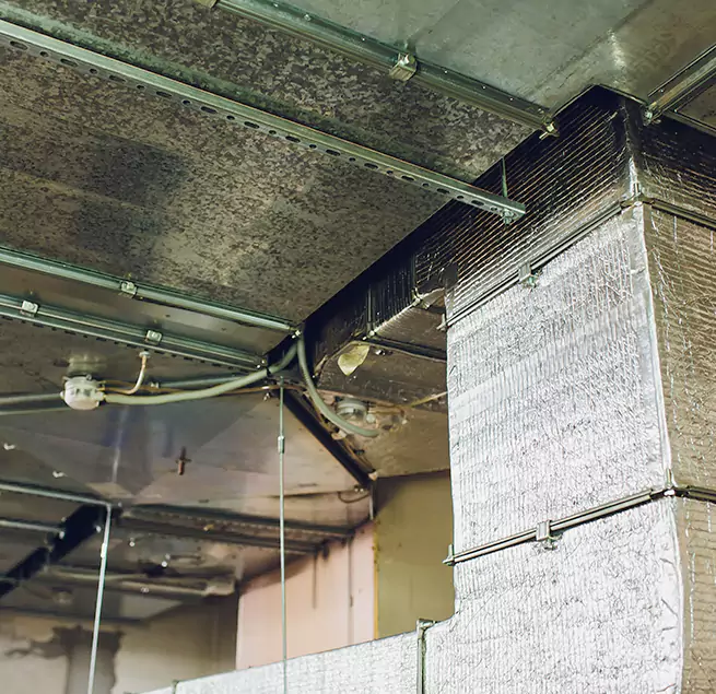 Why Homeowners & Businesses Trust Us in Hoover, AL?